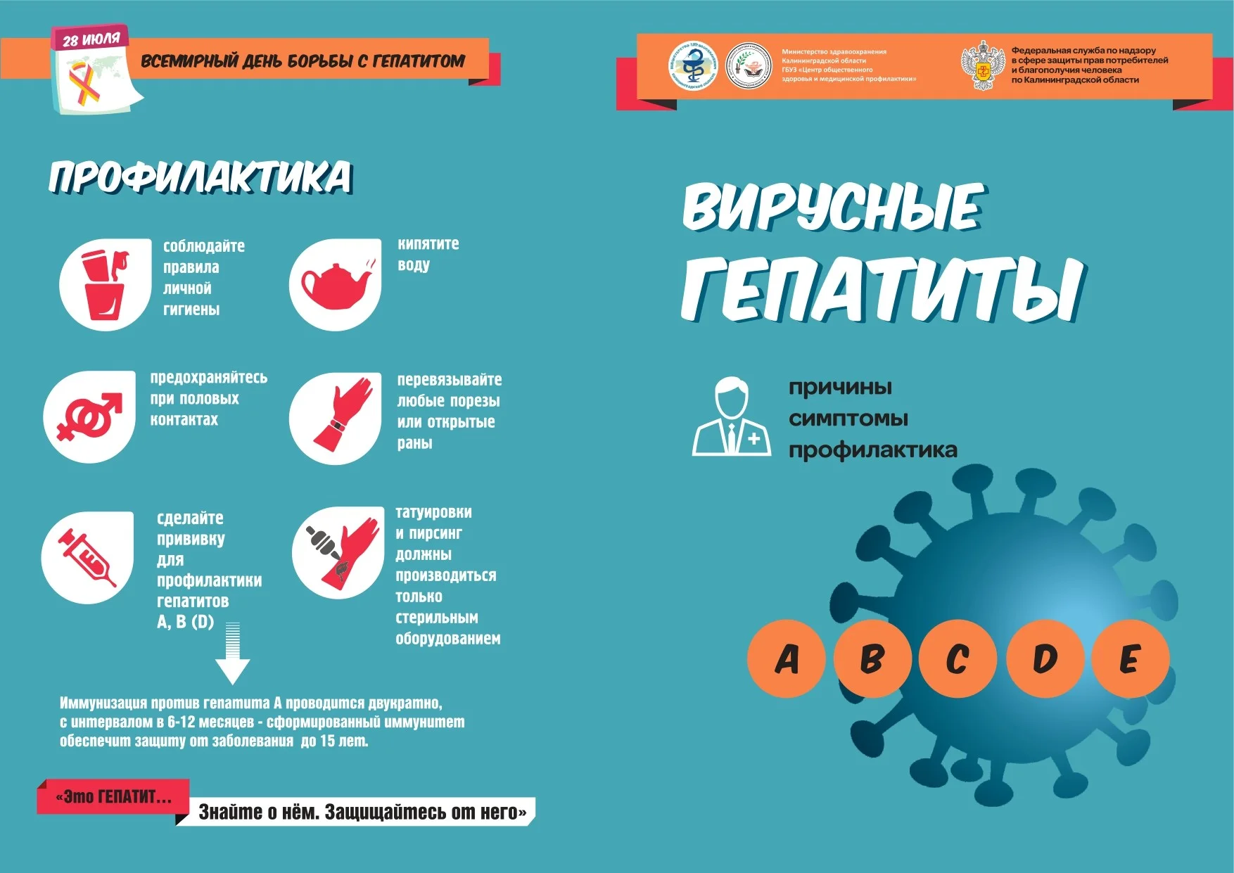 Вирусный Гепатит - Психиатрическая больница Калининградской области № 2